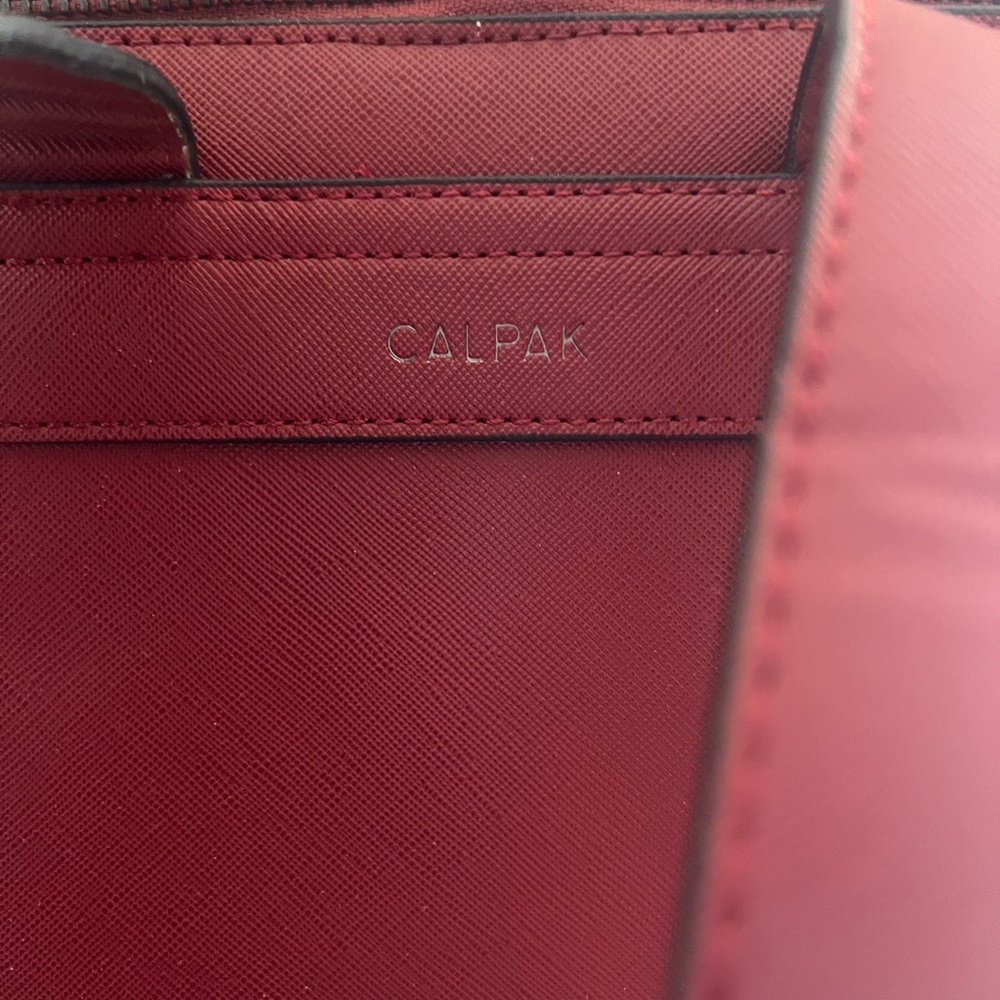 Calpak Red Men's Backpack - Picture 3 of 5